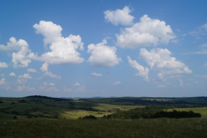 DSC07003